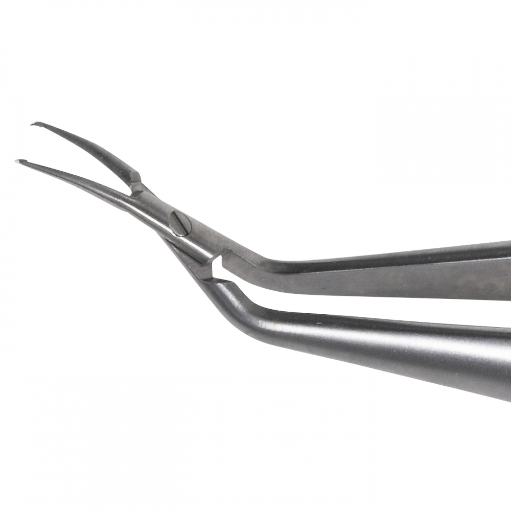 Hachet forceps