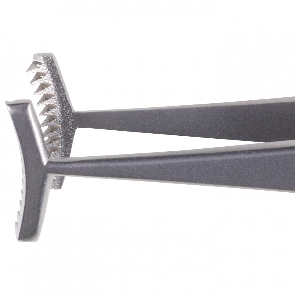 Barraquer forceps