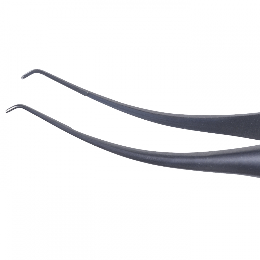 Kraff-Moria forceps