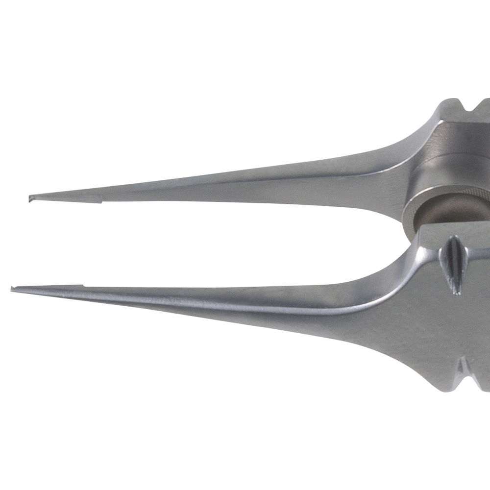 Bonn-Moria forceps