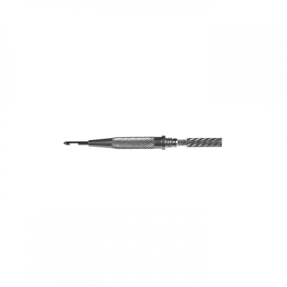 Extrémité de remplacement - D 0,6 mm