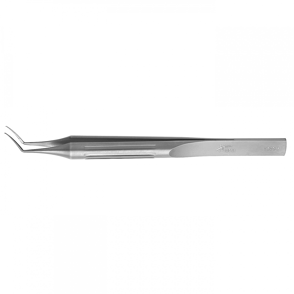 Corydon forceps