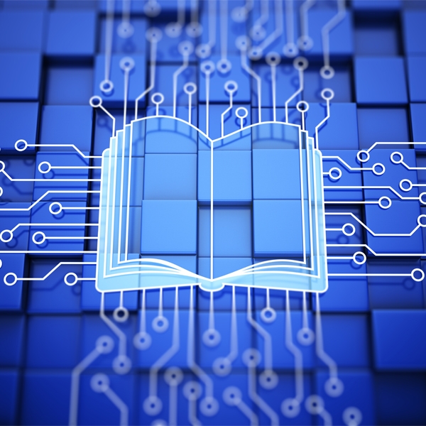 65068-D - Guidelines - Epi-K (EN)